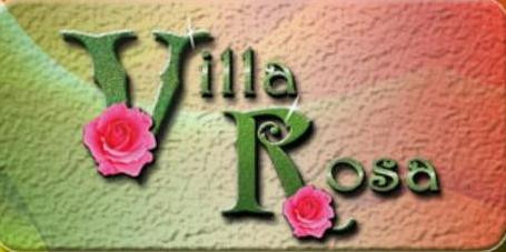 Villa Rosa Mexican Grill