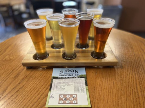 3 Iron Brewing Co