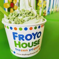 The Froyo House