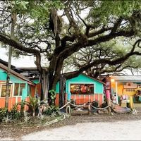 Skipper's Smokehouse And Oyster